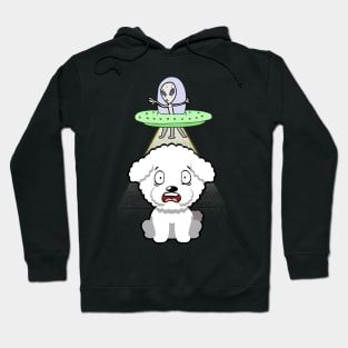 Cute furry dog is abducted by aliens Hoodie